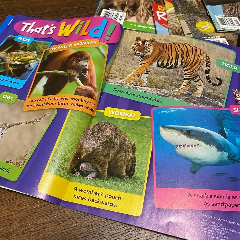 Ranger Rick Jr. Magazine Lot of 14 Kids Nature Homeschool Wildlife Children